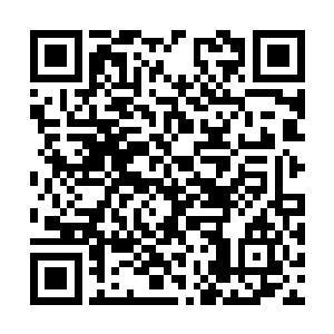 这也说明了……她们都是经常会穿晚礼服的那种人二维码生成