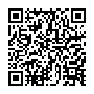 这二十八宿幻化成四圣兽之后的确足可以镇住刑天之魂二维码生成