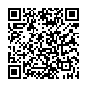 这些世家都希望自己子女能够吸引一个太玄宗的弟子二维码生成