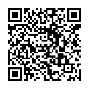 这些东西根本不是一个普通人一时之间能够接受的二维码生成