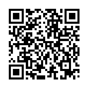 这些东西都是阿娜公主不小心碰烂的二维码生成