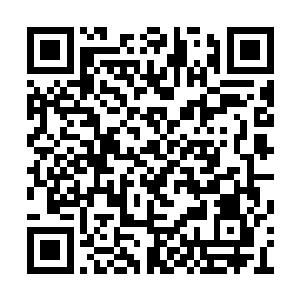 这些人加起来在座位圣级的燕山魂面前也是蝼蚁二维码生成