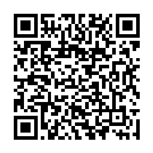 这些人口口声声说自家老爷是什么国公爷的亲侄子二维码生成