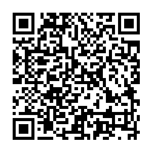 这些人是齐天王特地派來的 齐天王本人此时身在东南亚 正在王京城赶的路上二维码生成