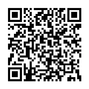 这些人现在选择的依靠自然便是吴岩的报晓战队二维码生成