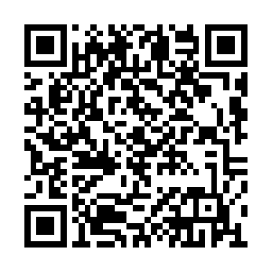 这些人脉全都被宋明月拿来给宋家的子嗣铺路了二维码生成