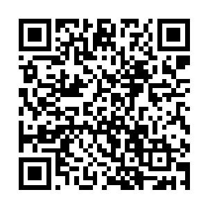 这些人自是他们各自家族派出来专门保护他们的护卫二维码生成