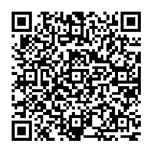 这些以你老婆的~弟弟的~名义所开的~皮包公司的~账户里的~巨额现金……和你有什么关系吗二维码生成