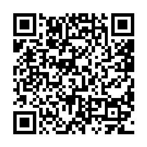 这些危险的猛兽便会立刻变成一副病怏怏无力气短的样子二维码生成