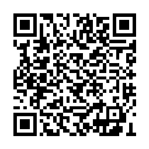 这些天死在龙傲天手中的人没有一千也有八百了二维码生成