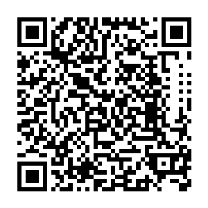 这些妖兽都是邢锋费了九牛二虎之力在十万大山的边缘地带抓捕到的二维码生成