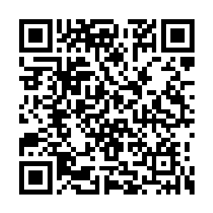 这些宗门高层听到自己成为被怀疑和监视的对象二维码生成