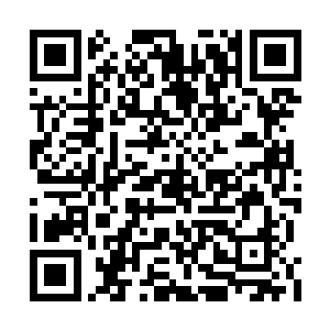 这些实力不过才十阶的小家伙们可不是她的对手二维码生成