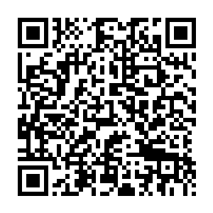 这些宣传画册上都已经将每一件拍品的一些资料都描述的很清楚了二维码生成