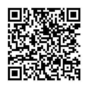 这些寄存器提供在矢量和标量计算模式下进行256BIT双精度处理二维码生成