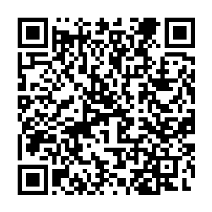 这些小家伙便在吃过晚饭后非常主动的在各自满意的位置翻好了肚皮二维码生成