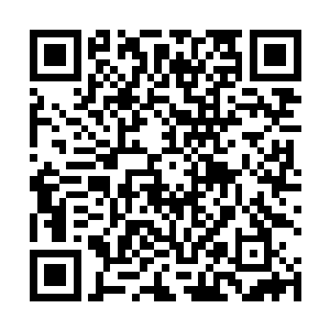 这些年被压抑的内力直接使得夜染实力一跃至七阶巅峰二维码生成