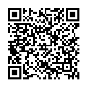 这些年采选入宫的女子大多只是良家或是小官小吏之女二维码生成