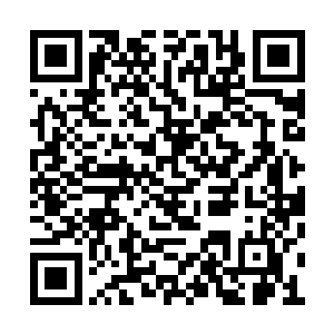 这些权贵子弟都是被逼无奈之下才来的炼狱之地二维码生成