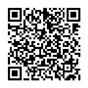 这些武器全部都东乌国或者西国制造的新式武器二维码生成