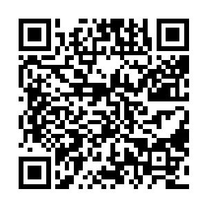 这些殿院已经围绕着方运和宁安县形成了隐性的利益团体二维码生成