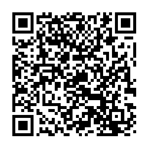 这些白色的花朵里蕴含了何等强大的力量与之接触过得人自然相当清楚二维码生成