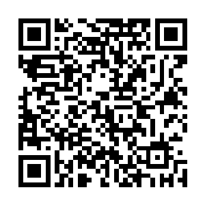 这些航空俱乐部的每年为国家培养一万人左右的飞行爱好者二维码生成