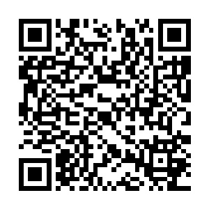 这些船只里面既有类似格格尔帆船这样的古老型号二维码生成