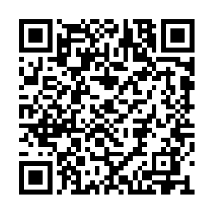 这些苦工弟子暂时也并不知道这弟子铭牌的存在二维码生成