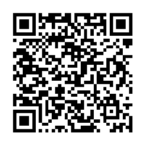 这些蔓藤还会在窜动的过程中散发出一种无色无味二维码生成