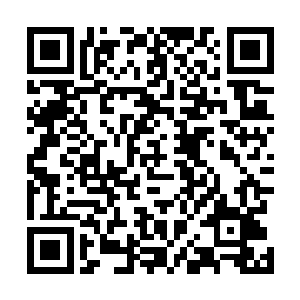 这些虫子爬出来过后迅速的开始朝着活人的方向爬了过去二维码生成