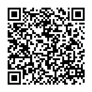 这些都是之前的时候袭击过玉虚阁或者之前的时候对玉虚阁出手的家族二维码生成