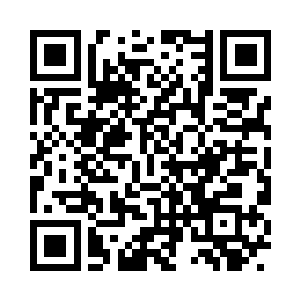 这些都是节目组特意找来的杜克的影迷二维码生成