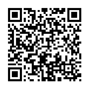 这些都是龙族跟其他的种族魔兽杂交产生的后代二维码生成