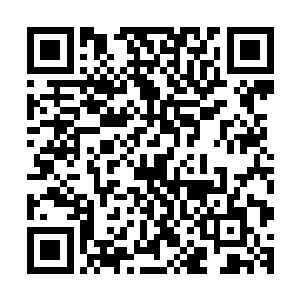 这些雾气来带的露水几乎是这周围生存的所有动物的救命物资二维码生成