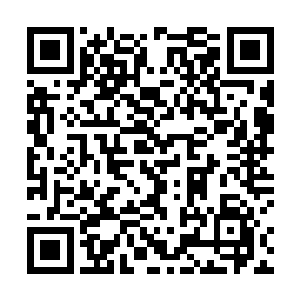 这些鞭炮纸灰般的炮灰根本不值得他消耗半点力量拯救二维码生成