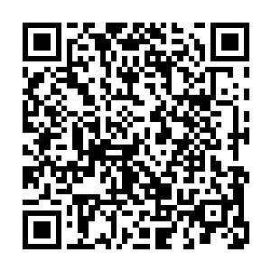 这些驾驭着战争法宝和战争巨兽的战神军战士也纷纷催动身下的巨兽和法宝二维码生成