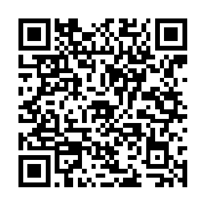 这些高低起伏的音节令巨门周围的原力都起了共鸣二维码生成