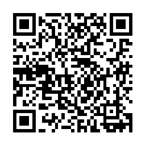 这些高高在上的仙尊们虽然平日里与我们巨象仙宗交好二维码生成