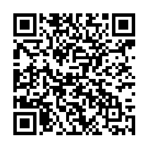 这些鱼还有没有可能形成第二次的类似这样的鱼潮二维码生成