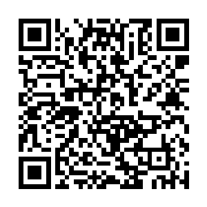 这些黑暗之灵每一个都差不多相当于一个婴儿的大小二维码生成