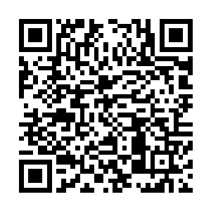 这件事放任少爷去管是不是不太好少爷给咱们提的那份合同二维码生成