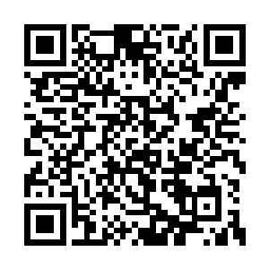 这件宝物竟然也是巫师之神兰斯临走之前留下的二维码生成