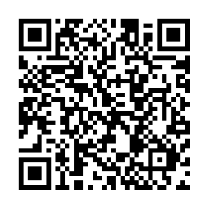 这会让他们产生自己的研究将会终结无数人生命的不良错觉二维码生成