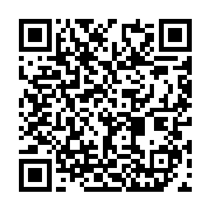 这位人族的吴老弟乃是本王特别邀请来助拳的盟友二维码生成