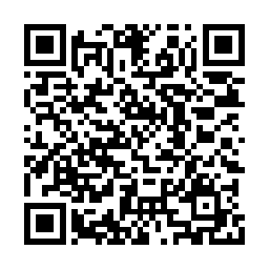 这位公子哥跟平俊表达出要跟他结契兄弟的意思二维码生成