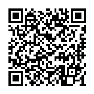 这位是龙腾基金和四海集团的负责人饶若曦小姐二维码生成