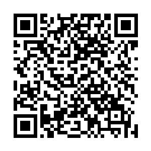 这位秦先生年纪轻一时候热血上涌说出这样的话还可以理解二维码生成