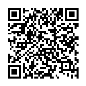 这位血冥龙头脸上那似笑非笑的表情就像是面具一样二维码生成