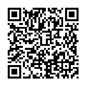 这俩神功绝对能够排的上中央大陆十大神功之一二维码生成